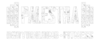 Palestra Bodybuilding & Fitness Cluj